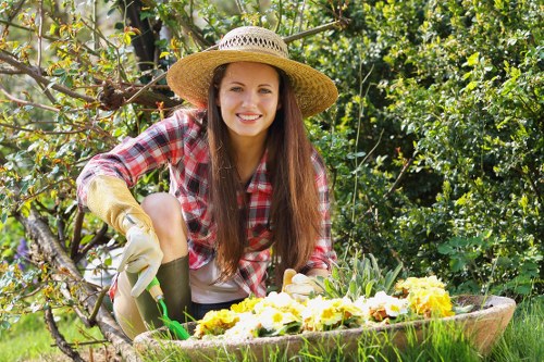Professional lawn care services
