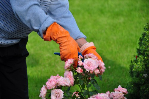 Before and after transformation of a Fulham garden by GreenThumb