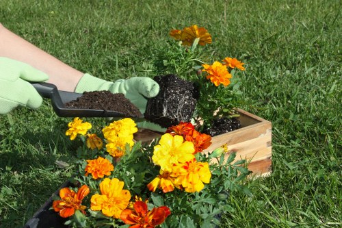In a well-maintained outdoor garden space, a person wearing light green gardening gloves is using a trowel to carefully plant a dark soil-filled black pot into a wooden planter box. The planter contains vibrant, healthy marigolds and other flowering plants with bright yellow, orange, and red blooms. The background features a lush, green lawn with evenly cut grass, and the scene is brightly lit by natural sunlight, indicating a clear, sunny day. The garden area appears organized with a focus on flower planting, suitable for landscaping or garden beautification services in Fulham. The overall environment emphasizes natural textures such as soil, blooming flowers, and the wooden planter, contributing to a visually appealing and professionally maintained outdoor space.